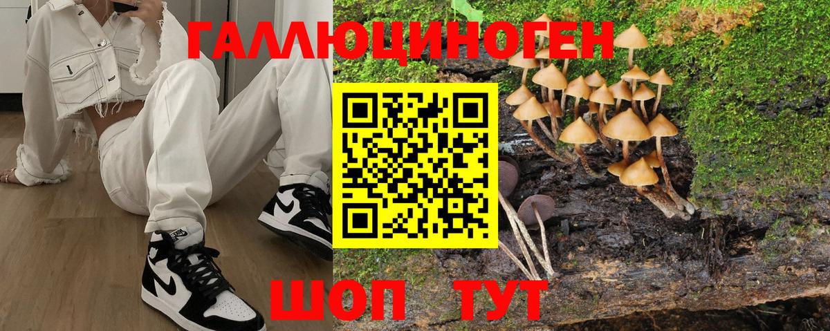 Кириши  Псилоцибиновые грибы GOLDEN TEACHER  Вход с VPN  Псилоцибиновые грибы Cubensis 