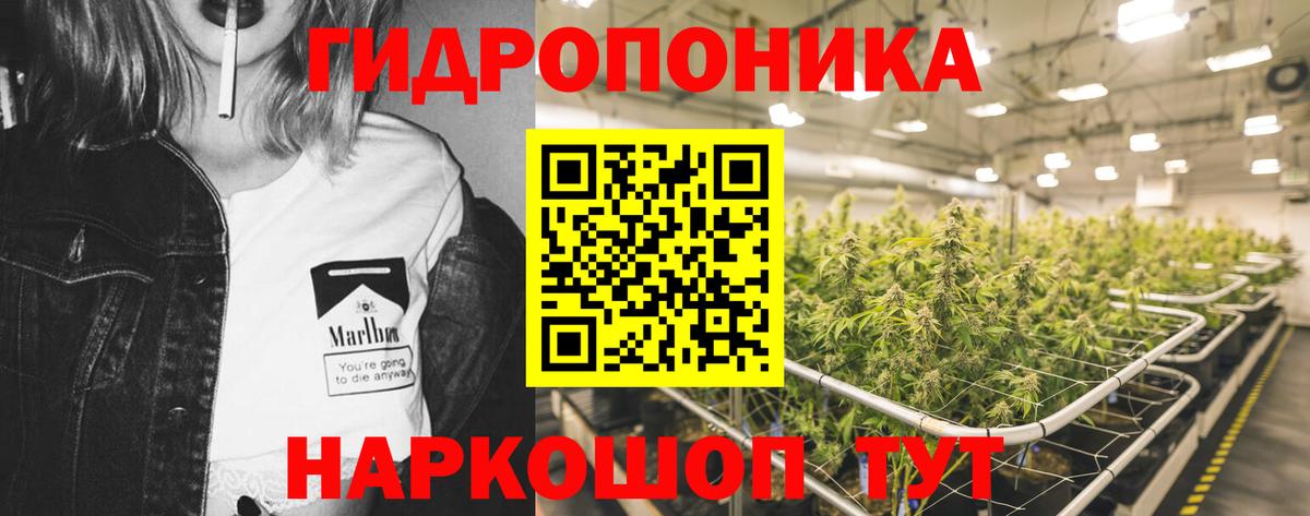 Кириши  МАРИХУАНА Bruce Banner  МАРИХУАНА планчик  Шишки марихуана конопля  Вход с VPN 